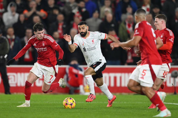 了职业运动 了职业运动